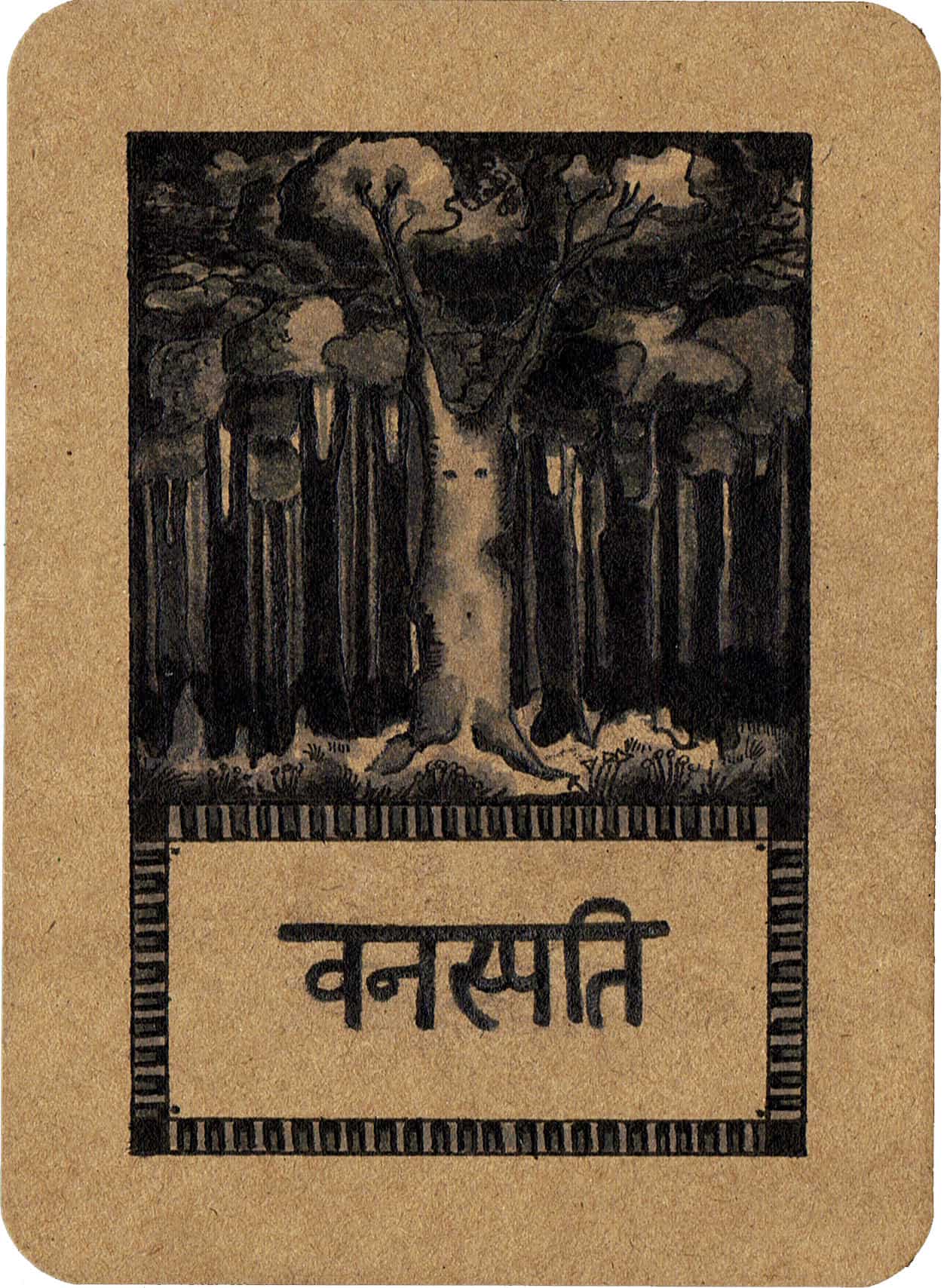 vanaspati