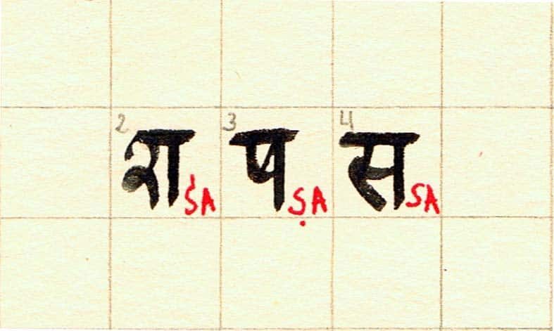 saszasajpg