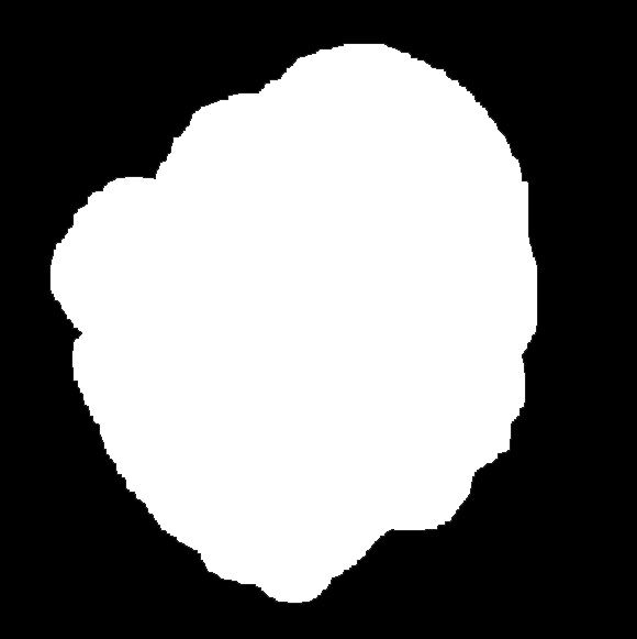 biały