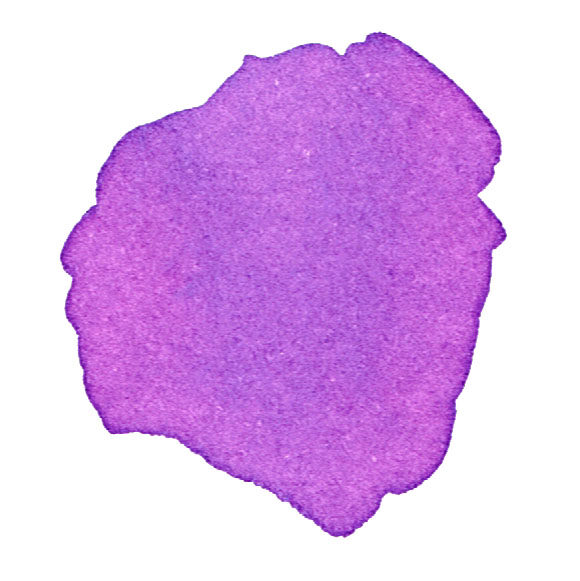 fioletowy